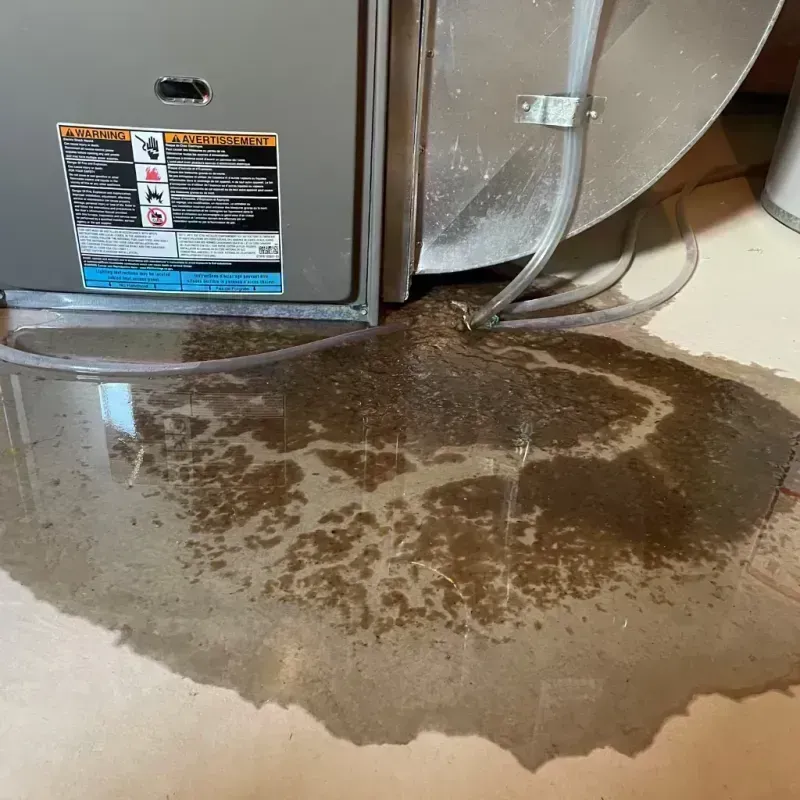 Appliance Leak Cleanup in Tipton, MO